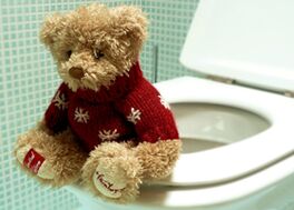 Die Ursachen von Hämorrhoiden